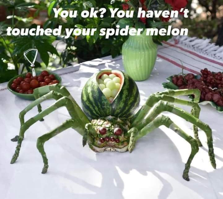 Meloun jakp pavouk - vtipné jídlo.