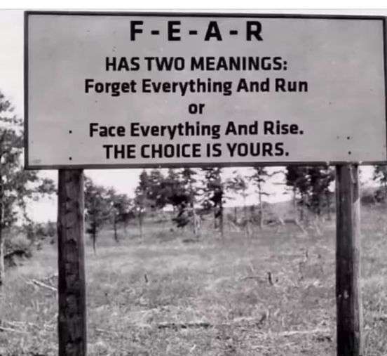 V angličtině slovo strach - FEAR -se dá rozepsat jako *zapomeň vše a uteč* nebo jako *čel všemu a pozvedni se*. Volba je na Vás.